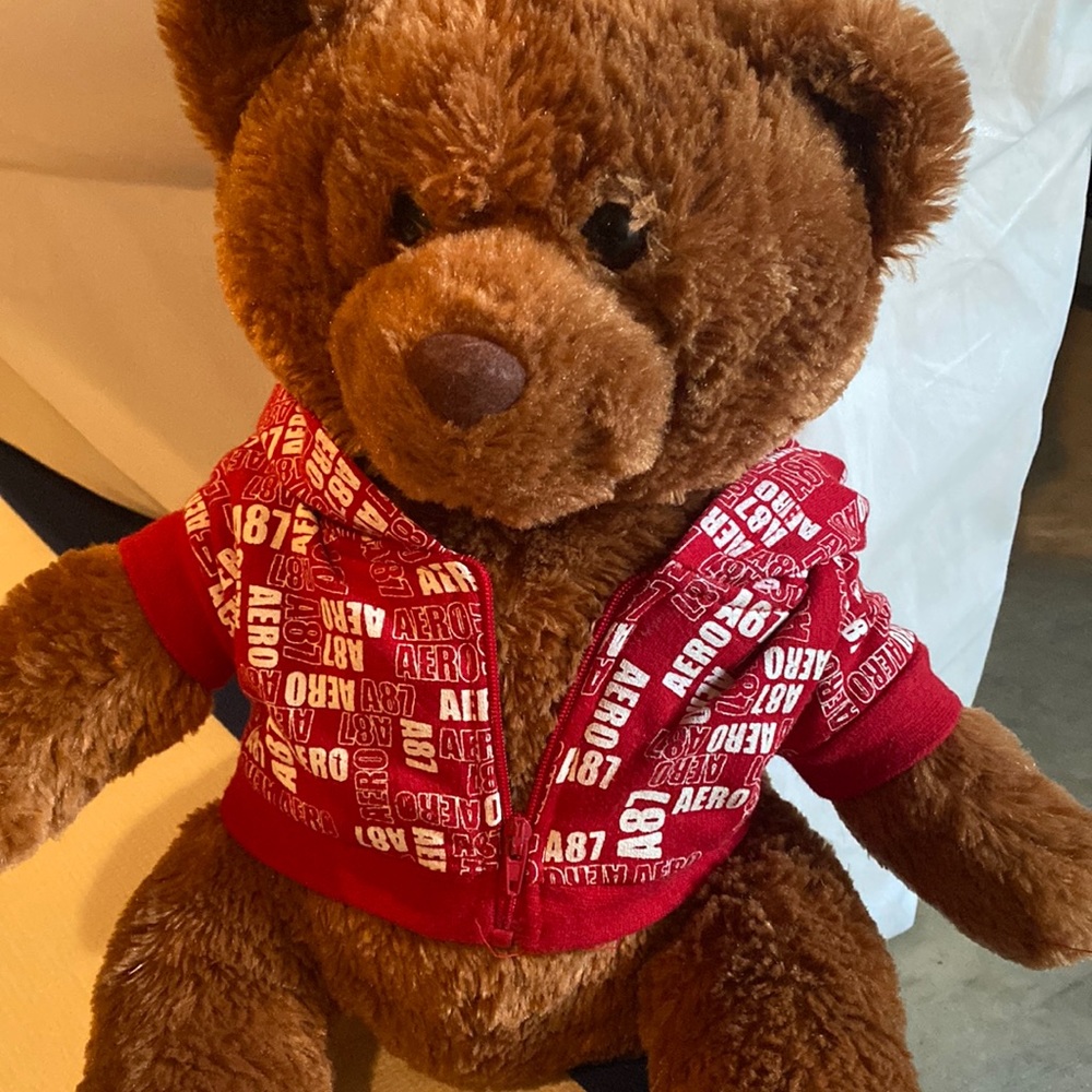 Aeropostale Bear with Zipped Hoodie